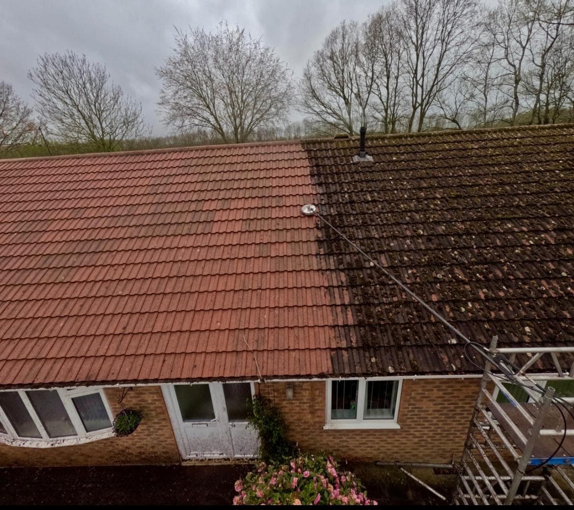 Roof Cleaning